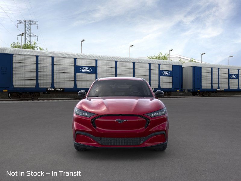 Ford Mustang Mach-E Vehicle Image 06