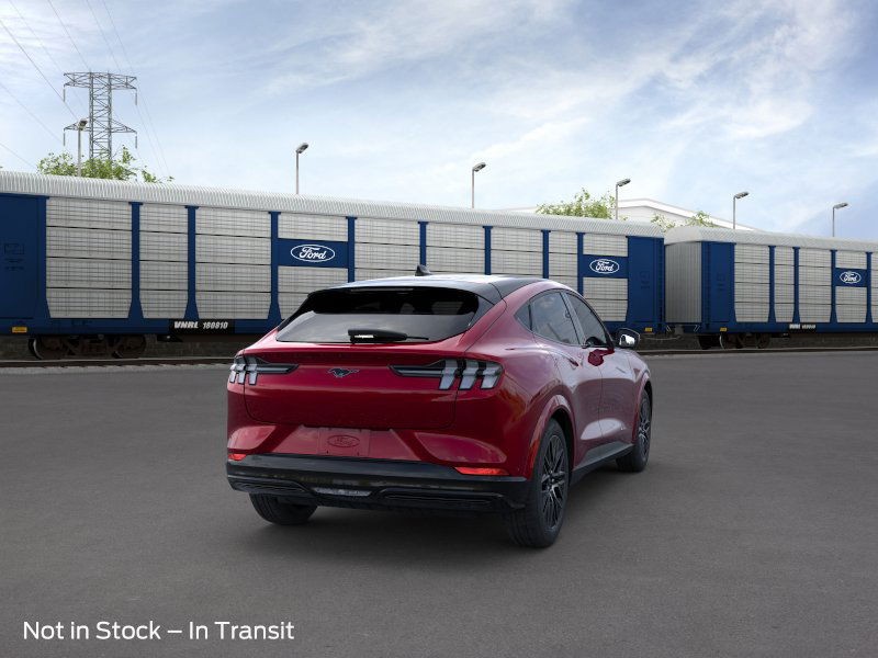 Ford Mustang Mach-E Vehicle Image 08