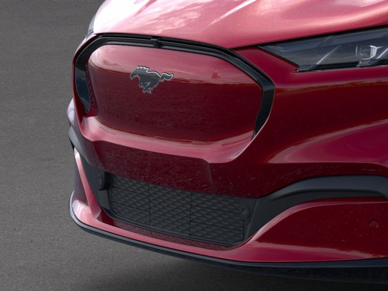 Ford Mustang Mach-E Vehicle Image 17