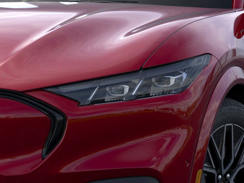 Ford Mustang Mach-E Vehicle Image 18