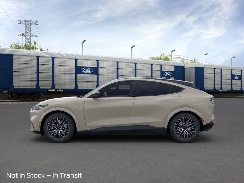 Ford Mustang Mach-E Vehicle Image 03