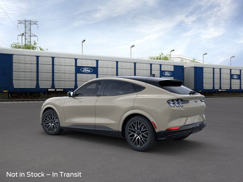 Ford Mustang Mach-E Vehicle Image 04