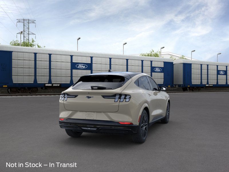 Ford Mustang Mach-E Vehicle Image 08