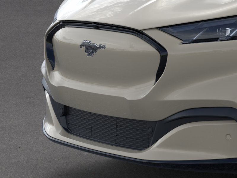 Ford Mustang Mach-E Vehicle Image 17