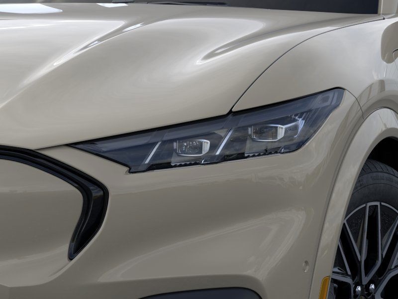 Ford Mustang Mach-E Vehicle Image 18