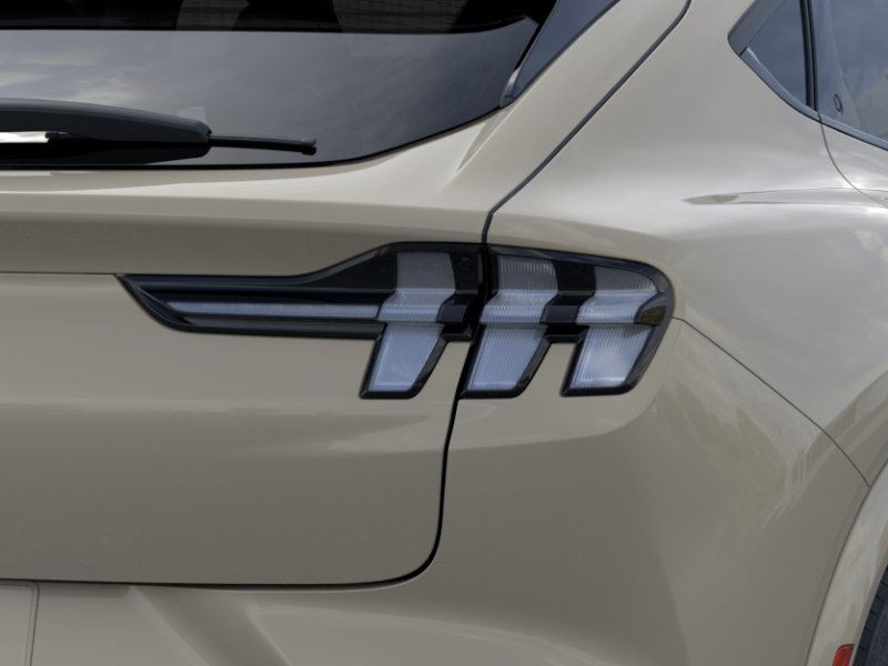 Ford Mustang Mach-E Vehicle Image 21