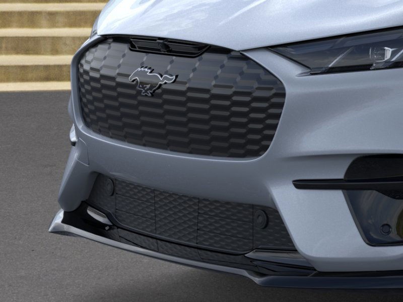 Ford Mustang Mach-E Vehicle Image 17