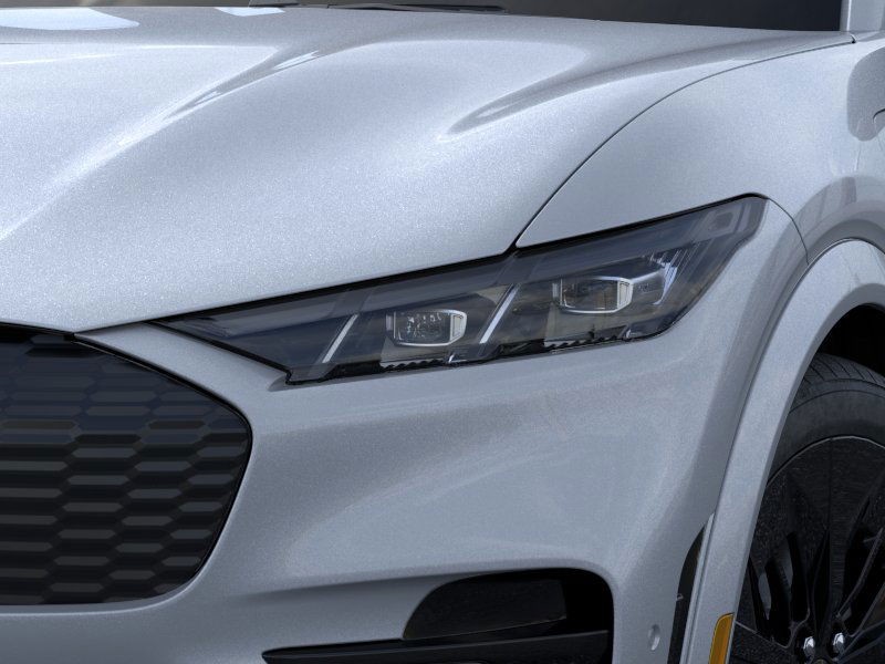 Ford Mustang Mach-E Vehicle Image 18