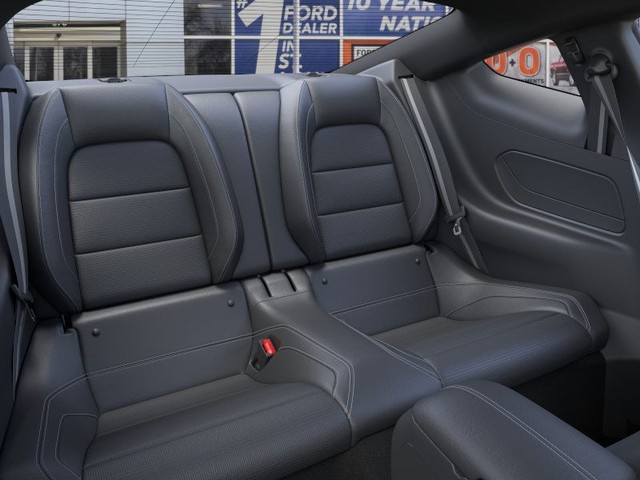 Ford Mustang Vehicle Image 11