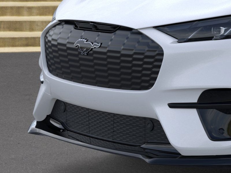 Ford Mustang Mach-E Vehicle Image 17