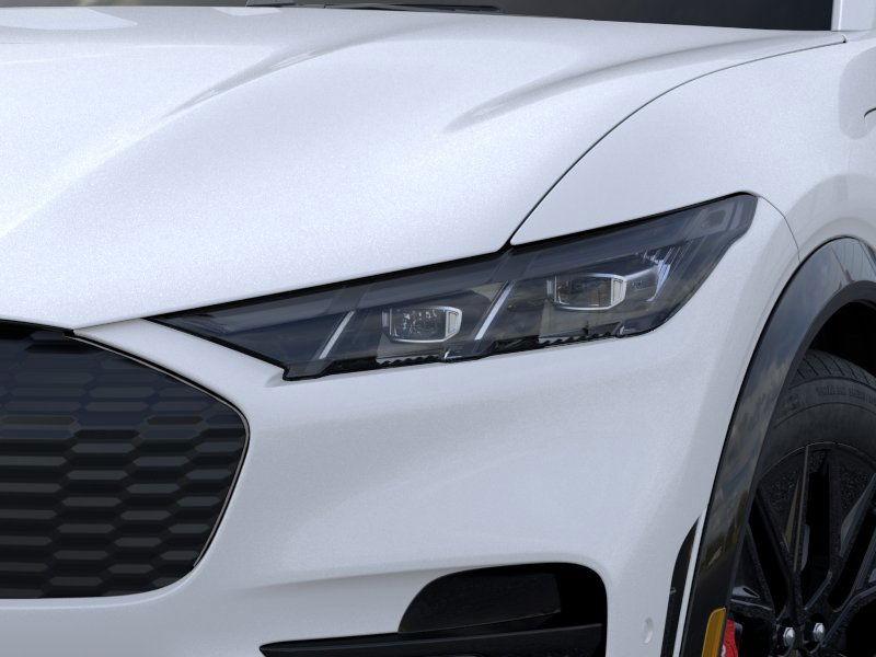 Ford Mustang Mach-E Vehicle Image 18