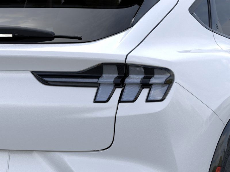 Ford Mustang Mach-E Vehicle Image 21
