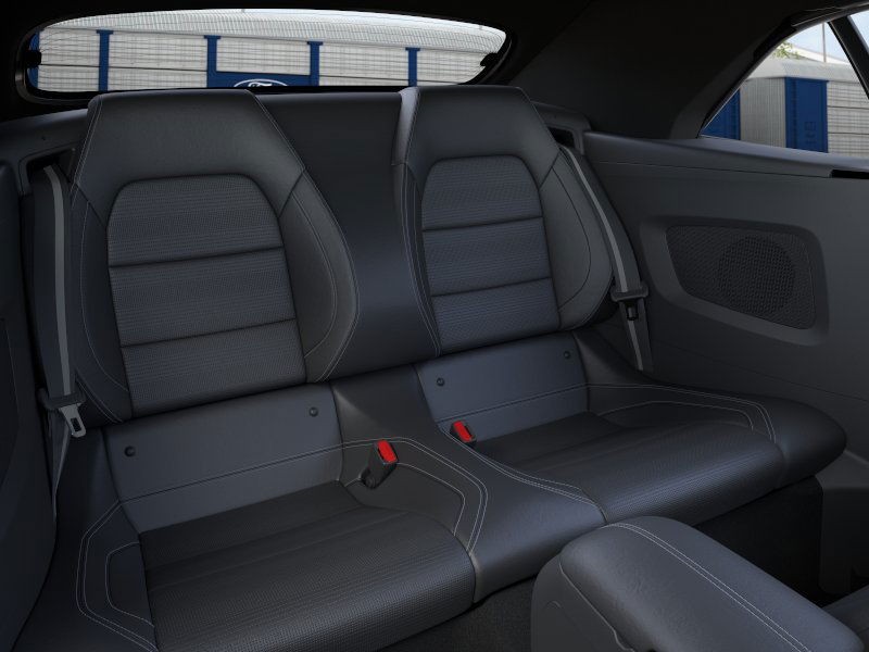 Ford Mustang Vehicle Image 11