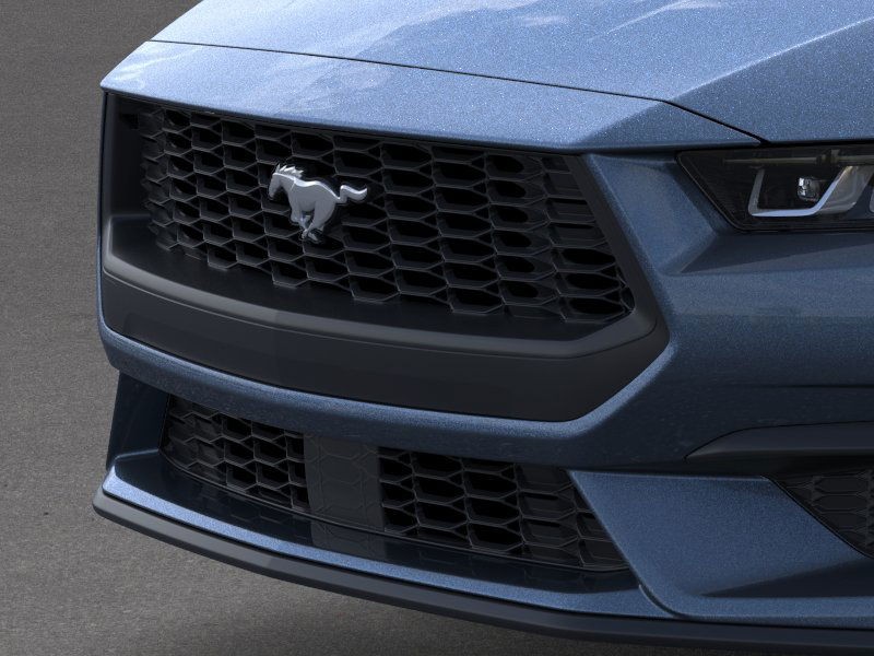 Ford Mustang Vehicle Image 17