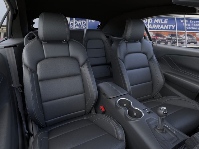 Ford Mustang Vehicle Image 10