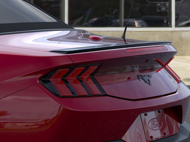 Ford Mustang Vehicle Image 22