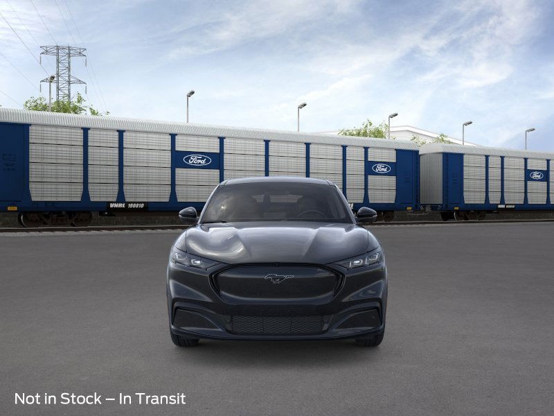 Ford Mustang Mach-E Vehicle Image 06