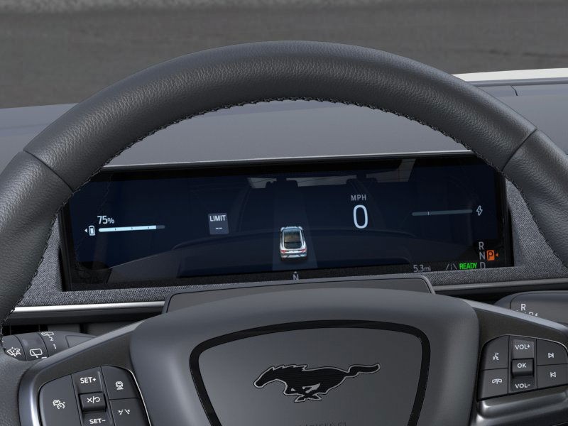 Ford Mustang Mach-E Vehicle Image 13