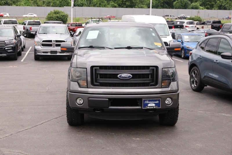 Ford F-150 Vehicle Image 04