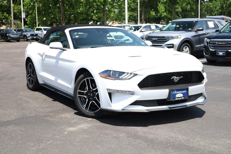 Ford Mustang Vehicle Image 02