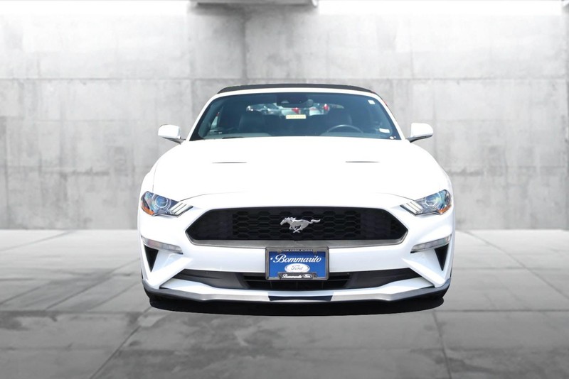 Ford Mustang Vehicle Image 04
