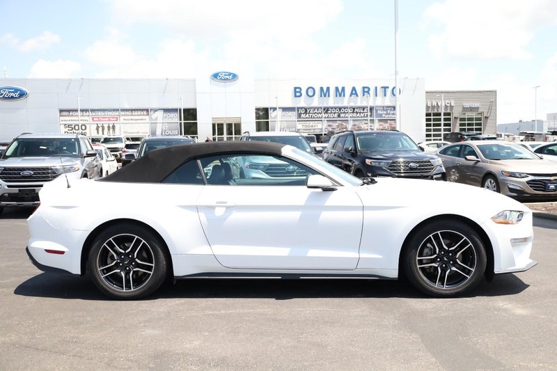 Ford Mustang Vehicle Image 05