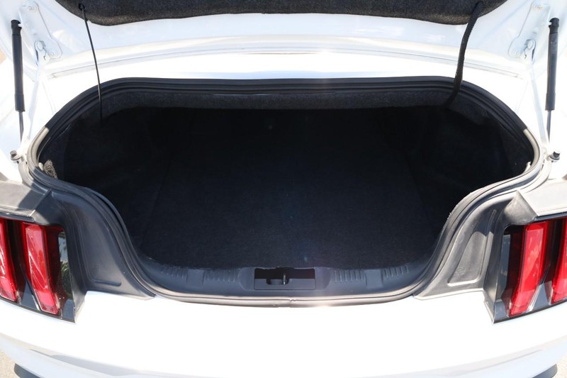 Ford Mustang Vehicle Image 06