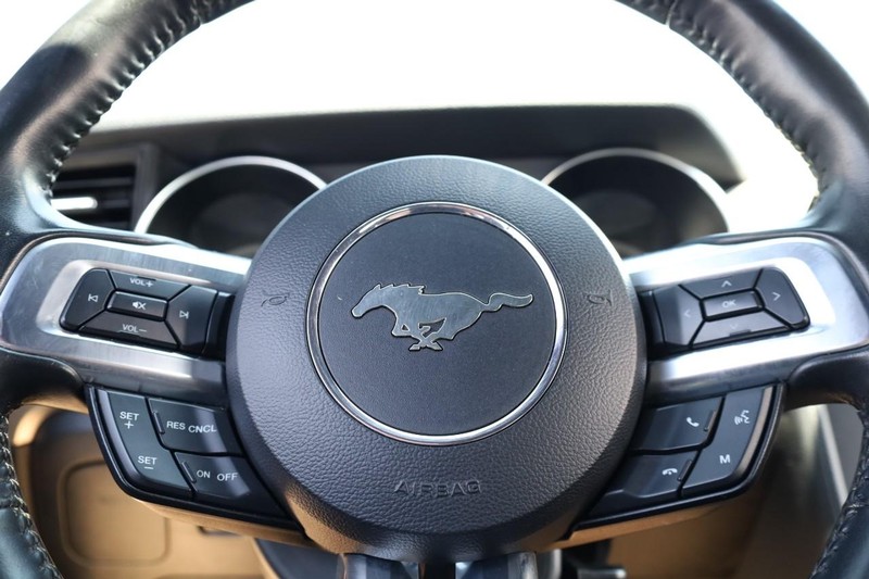 Ford Mustang Vehicle Image 08