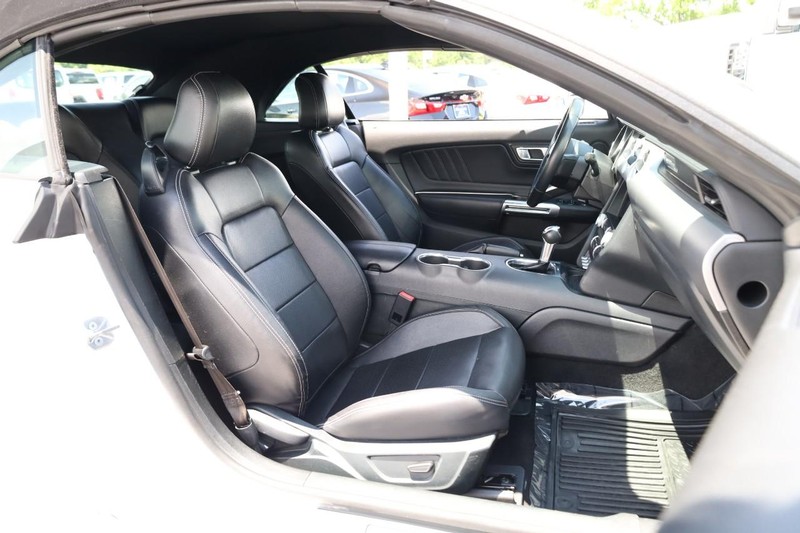 Ford Mustang Vehicle Image 19