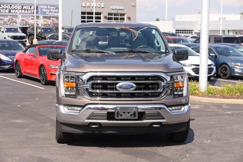 Ford F-150 Vehicle Image 04
