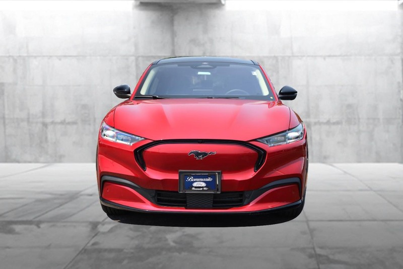 Ford Mustang Mach-E Vehicle Image 04