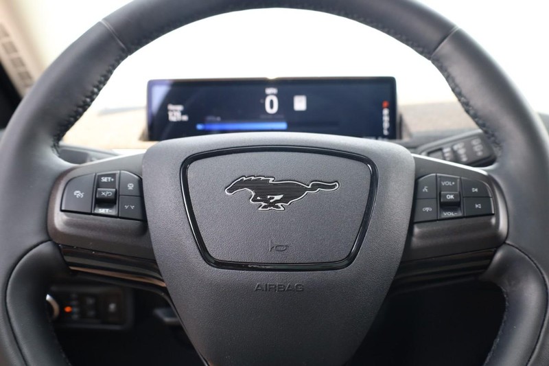 Ford Mustang Mach-E Vehicle Image 10