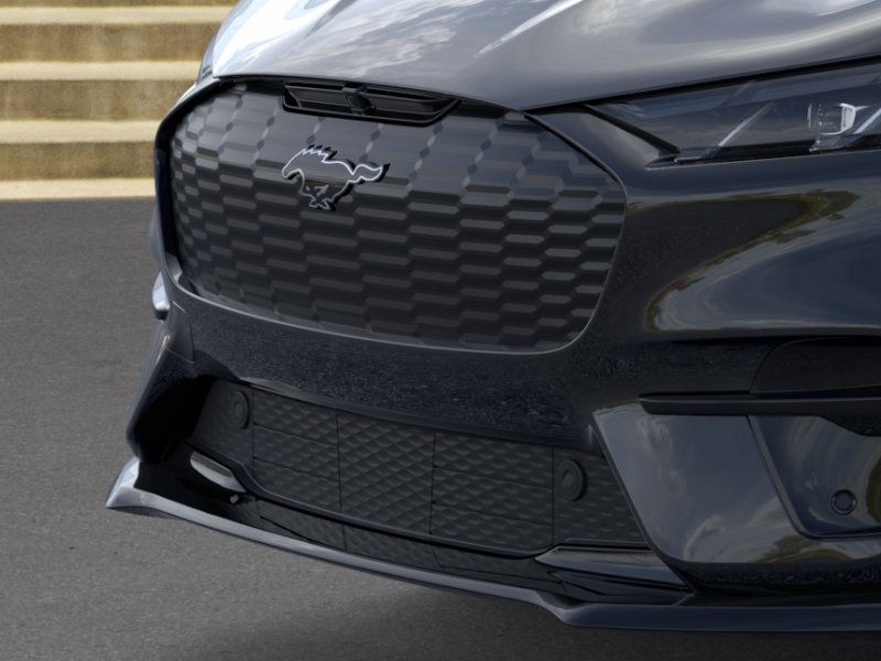 Ford Mustang Mach-E Vehicle Image 17