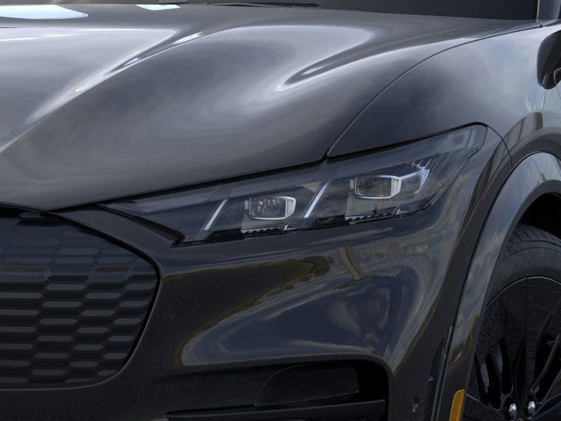 Ford Mustang Mach-E Vehicle Image 18