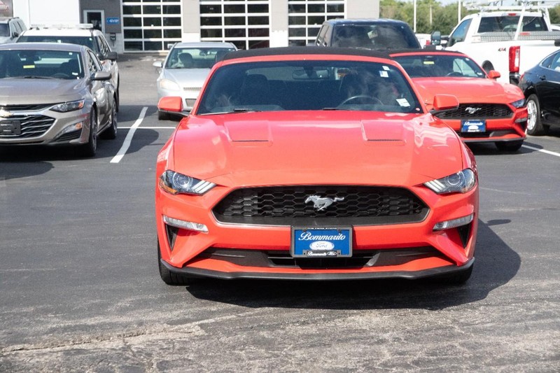 Ford Mustang Vehicle Image 04