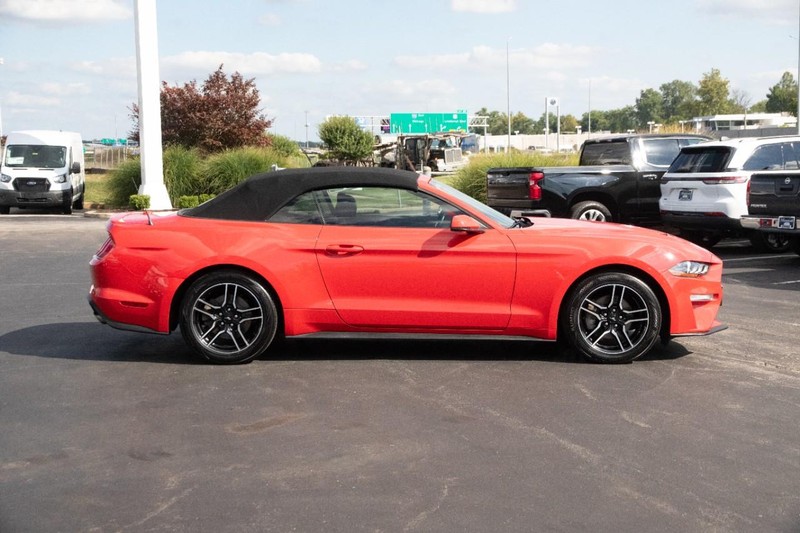 Ford Mustang Vehicle Image 05
