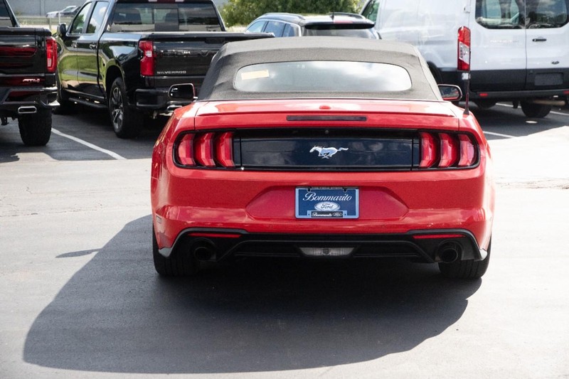 Ford Mustang Vehicle Image 06