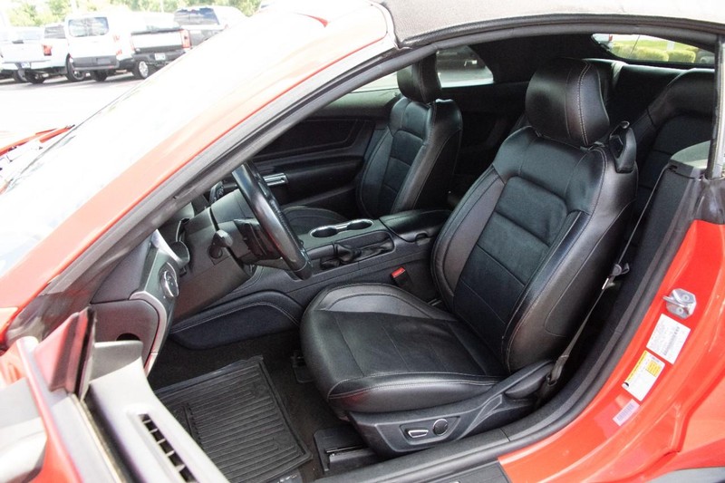 Ford Mustang Vehicle Image 08