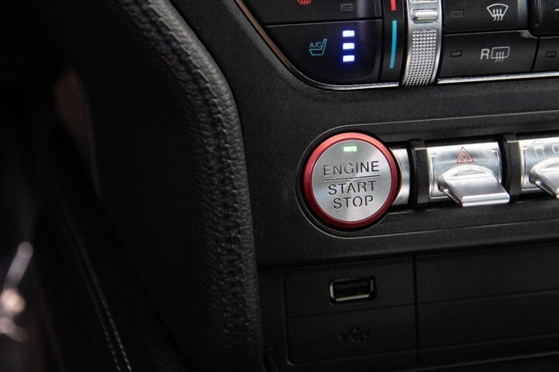 Ford Mustang Vehicle Image 14
