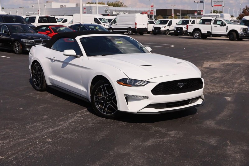 Ford Mustang Vehicle Image 02