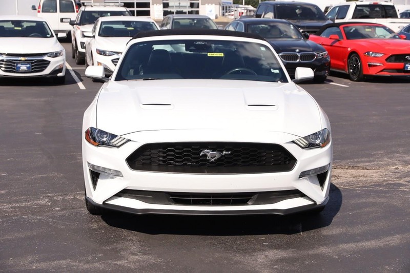 Ford Mustang Vehicle Image 04