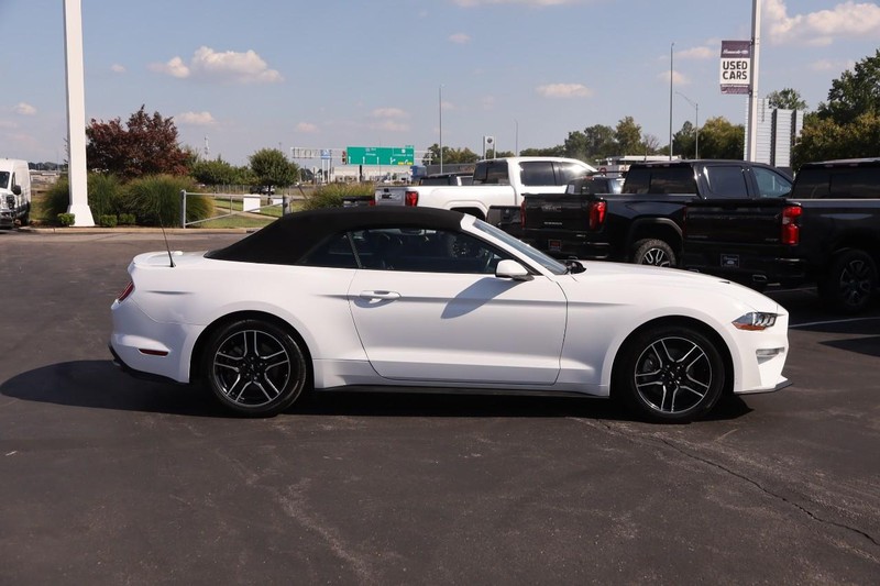 Ford Mustang Vehicle Image 05