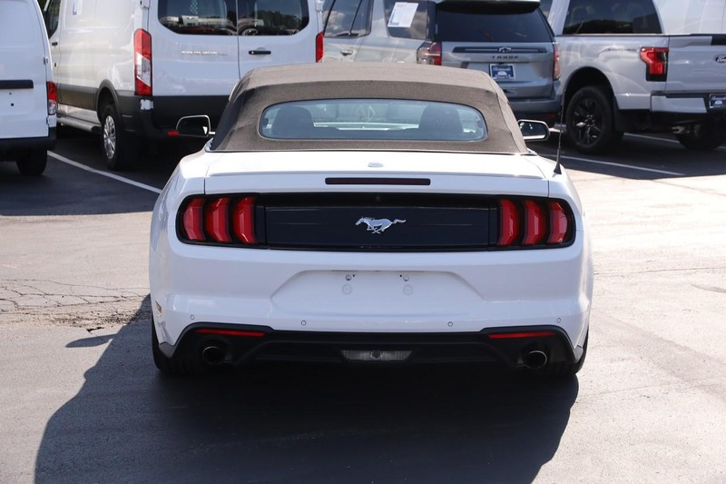 Ford Mustang Vehicle Image 06