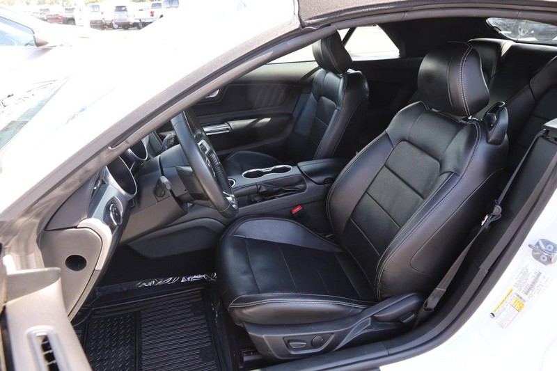 Ford Mustang Vehicle Image 08