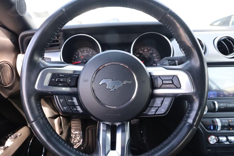 Ford Mustang Vehicle Image 10