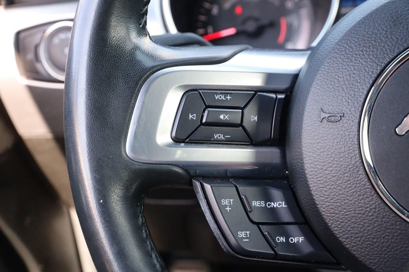 Ford Mustang Vehicle Image 11