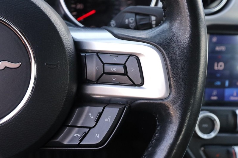 Ford Mustang Vehicle Image 12