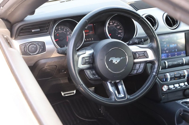 Ford Mustang Vehicle Image 19