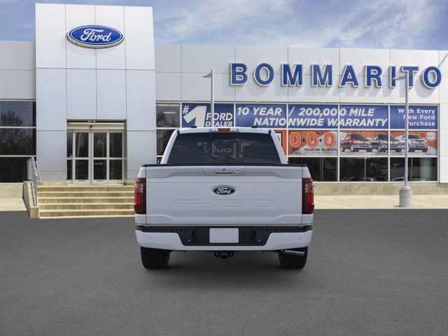 Ford F-150 Vehicle Image 05