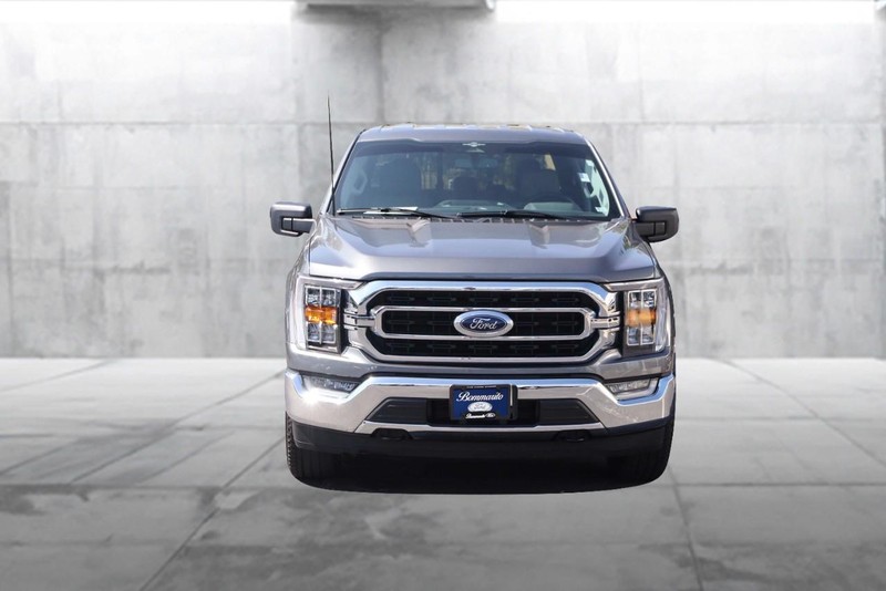 Ford F-150 Vehicle Image 04